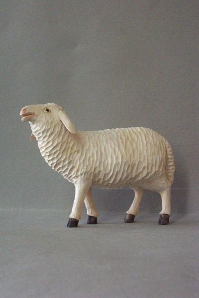 Schaf 1 stehend, Linde detailliert lasiert