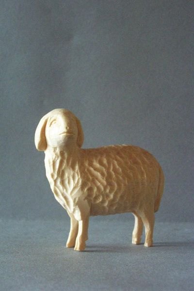 Schaf 1 stehend, Weymouthskiefer natur